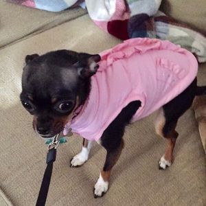 Meet your Posher, Lora